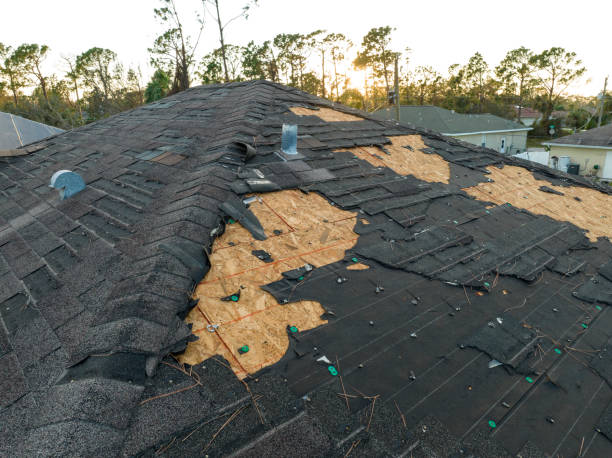 Best Roof Inspection  in Sisseton, SD