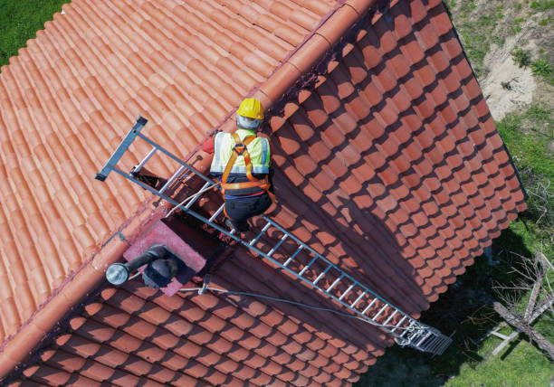 Best Roof Insulation Installation  in Sisseton, SD