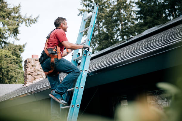 Best Roof Leak Repair  in Sisseton, SD